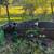Variety Of Auto and Tractor sales 4 thumbnail