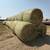 Teff Grass Hay Rounds 2 thumbnail