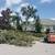 TREE REMOVAL TREE TRIMMING TREE SERVICE STUMP GRINDINGS LANDSCAPE 9 thumbnail