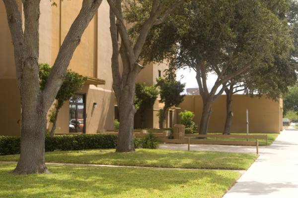 $450 Now Leasing!!!!Professional Office Suite(s) (Harlingen)63760384187907120
