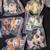 22 Littlest Pet Shop figures lot 4 thumbnail