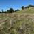 10 Acres AMAZING views Gilroy. Animal property. Duke Drive 16 thumbnail