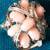 2 Ladies Rings - Costume Jewellery 1 thumbnail