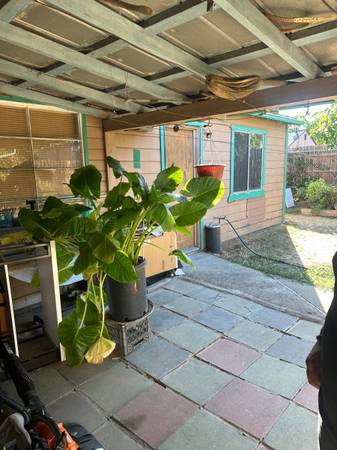 $900 / 1br - Nice Private room available (Bradford drive /Fruitridge)64043840228609120