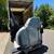 PIANO MOVERS ⭐️⭐️⭐️⭐️⭐️🚚 FREE ESTIMATES 12 thumbnail