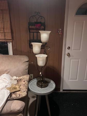 Two Lamps for $30 1