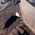 🛑💧Roofing Experts Leak Detection Spealist !🛑💧 6 thumbnail