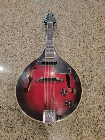 GuitarWorks - Electro Acoustic Mandolin 1