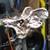Shift knob Hood ornament Steering wheel Differential cover 17 thumbnail