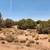 Terreno fsbo land 2.5 acres land for sale Snowflake, Az 5 thumbnail