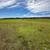 40 Acres on Lockwood Jolon Road Corridor - Owner Finance Available 7 thumbnail