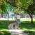 ✨Start 2026 Right – 1BR with In-Unit Laundry & Plank Floors!✨ 5 thumbnail