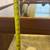 Mid-Century Italian Square End Tables in Rosewood and Smoked Glass 15 thumbnail