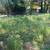 PRO Handyman & Lawn Care, LLC. 3 thumbnail
