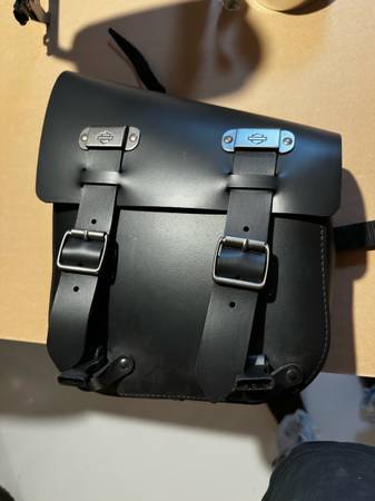 Swning arm leather bag 1