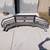 Ford Super Duty heavy duty front bumper replacement 2 thumbnail