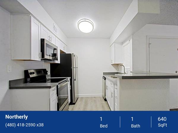 BBQ/Picnic Area, Modern Kitchen Appliances, Balcony or Patio 1