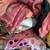 Baby Girls Clothes 8 thumbnail
