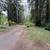 118+ ACRES WILLITS CA.  95490 24 thumbnail