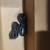 Markbass 5 string, Ultralight 210, Darkglass amps, Tank B, MXR preamp 19 thumbnail