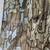 Excellent hunting camo camoflauge insulated hooded rain coat 5 thumbnail
