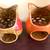OWL VOTIVE SET-NEW 2 thumbnail