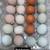 Fertile eggs / huevo fertile / pollitos chicks 12 thumbnail
