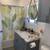 Lovely Rose Bowl 2 Bed Apartment in Pasadena | 1 Bath | $2700/mo | Ava 7 thumbnail
