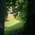SMALL SEVERNA PARK 4 BEDROOM  2 BATH HOME 2 thumbnail