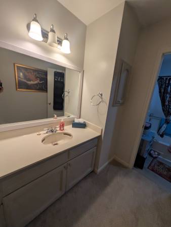 $650 / 2br - 1200ft2 - Private bedroom in 2 bd townhouse (Shenandoah)63902945204226123