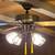 Ceiling Fan 1 thumbnail