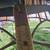 Vintage Pacific Green palm wood table 7 thumbnail