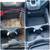 Friendly clean mobile detailing Pittsburgh 1 thumbnail