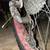 Framed Minnesota 1.0 Fat Tire Bike Size 17” Frame 8 thumbnail