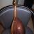 Washburn Mandolin-bowlback 11 thumbnail