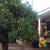 4.0mi to CSUF-West Yorba Linda-147 square foot bedroom/share full bath 6 thumbnail