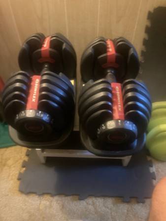 Bowflex dumbells 1
