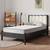 New Cozynest 6" Twin Size Medium Supportive Innerspring Mattress  New in box B-2 2 thumbnail