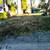 Yard Clean-ups MOWING WEEDING TRIMMING BARK MULCH COMPOST 7 thumbnail