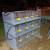 KENTWOOD CAGES NEW Quail cages with egg roll no sharp edges no deposits needed 5 thumbnail