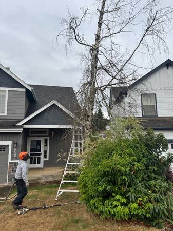 Legacy landscaping and maintenance 1