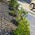 Ivo’s Handyman Services LLC – (209) 291-4100 7 thumbnail