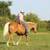 Quiet, Sure-Footed & Reliable 8yr Palomino Gelding 2 thumbnail