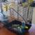 COMPLETE Birdcage Package with Toys, Feeders, Mirror & LOTS of FOOD! 3 thumbnail