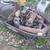 Polaris zd521 6 thumbnail