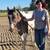 Apha paint mare 10 thumbnail
