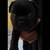 Frenchie Boston Terrier 1 thumbnail