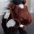 Ganz WEBKINZ Plush Horses (Set of 3) 6 thumbnail