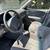 2001 TOYOTA COROLLA LE 11 thumbnail