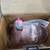 Four Seasons A/C Compressor NEW- # 68682 2 thumbnail